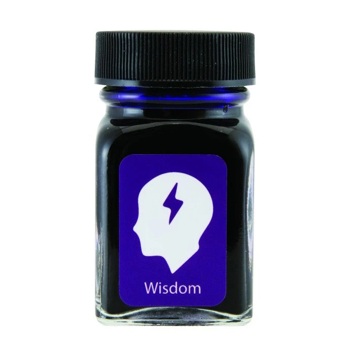 Monteverde Wisdom Purple Ink - 30ml Bottle